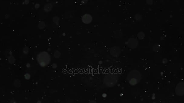 Sníh částice padající z noční oblohy — Stock video