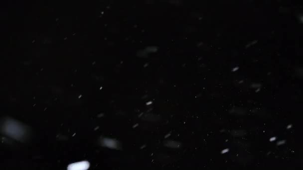 Particelle di neve che cadono dal cielo notturno — Video Stock