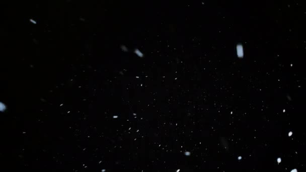 Particelle di neve che cadono dal cielo notturno — Video Stock