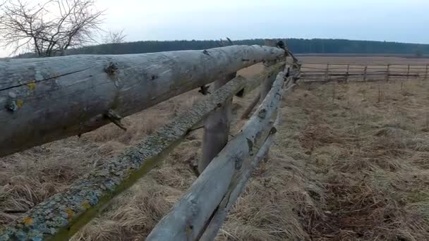 Oude hek op het gebied in het vroege voorjaar — Stockvideo