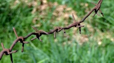 Hareket alan paslı tel.