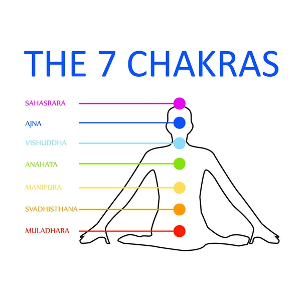 Os sete chakras com suas respectivas cores — Vetor de Stock