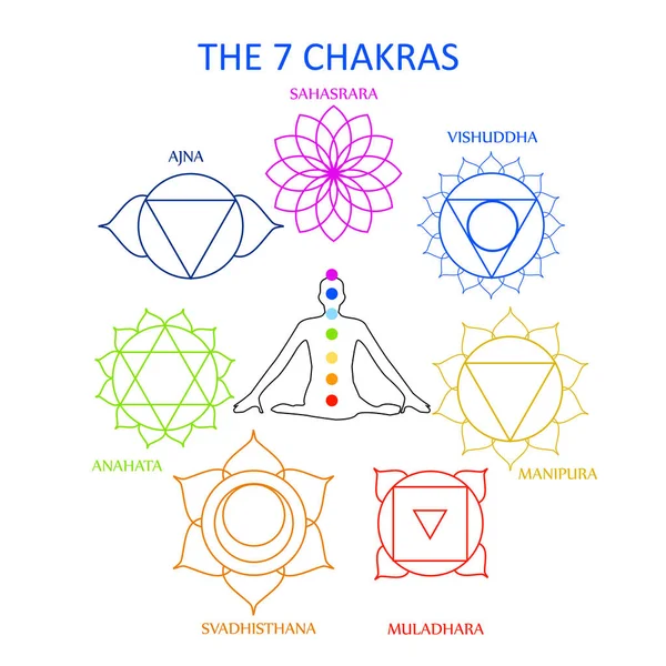 自分の名前と人間の体の 7 つのチャクラ — ストックベクタ