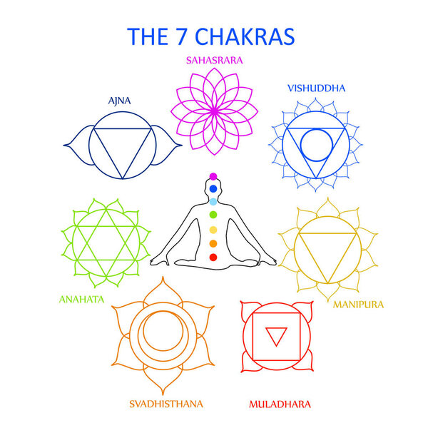 The seven chakras of the human body with their names 