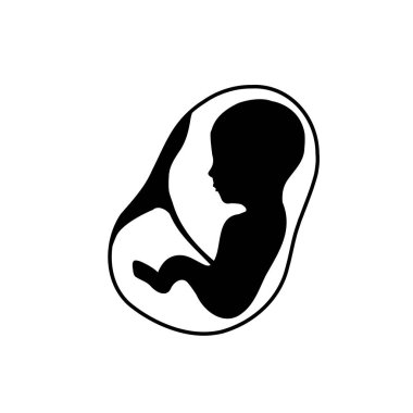Fetus ile bağlı plasenta rahim içinde 