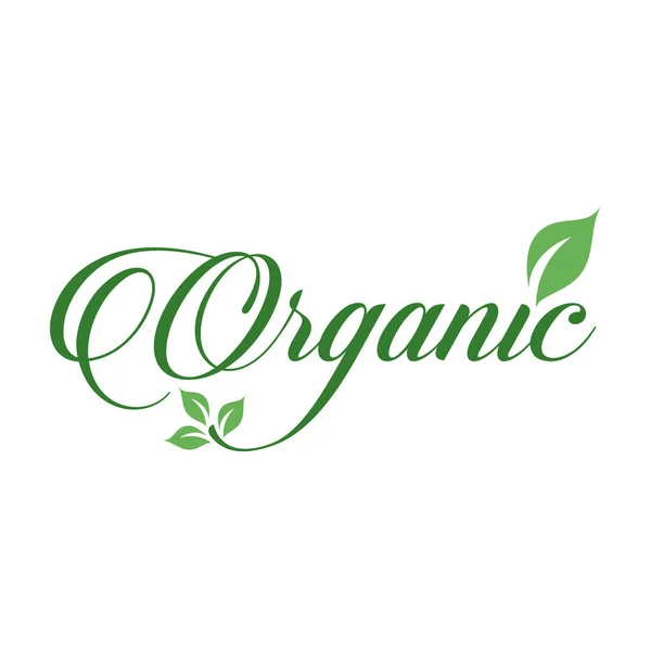 Organic Food Sign Calligraphy Green Leaf Symbolizing Vegetarian Friendly Diet — Stock Vector