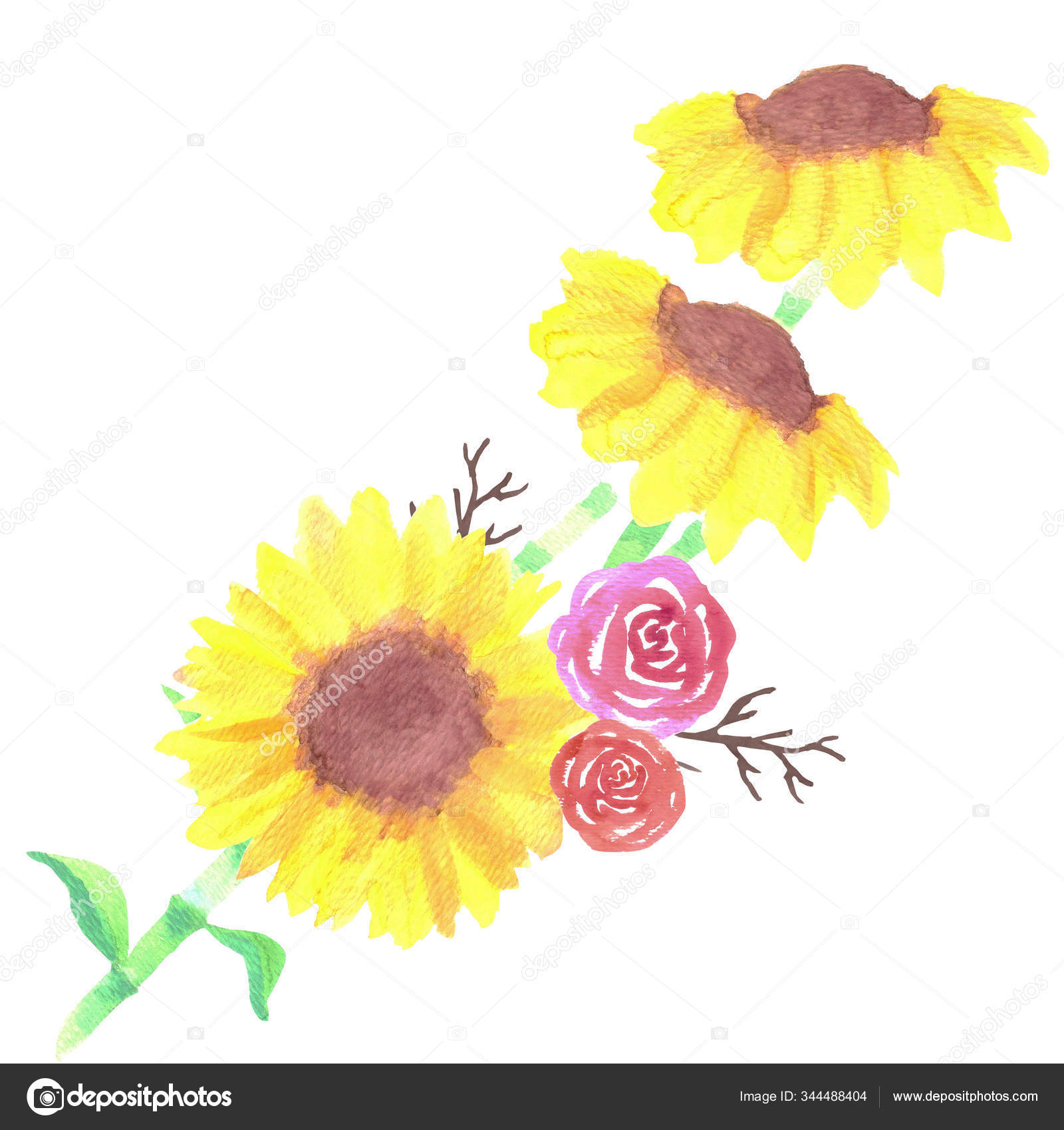 pics Sunflower And Roses Pictures depositphotos