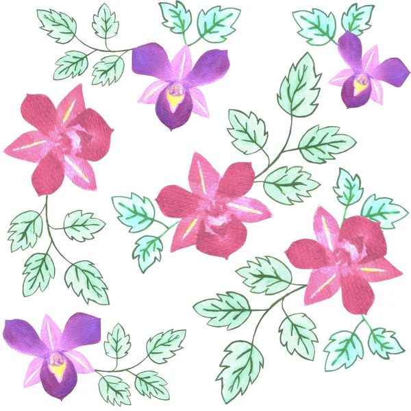 Розовый Фиолетовый Фон Орхидеи Дендробия — стоковое фото