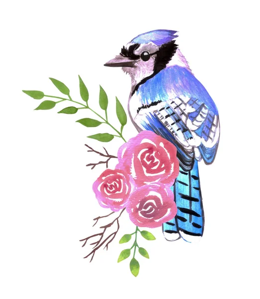 Niebieski Jay Ptak Czerwonymi Różami Gałązki Akwarela Ptaków Malarstwo — Wektor stockowy