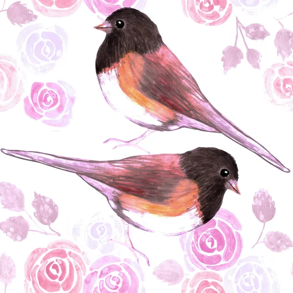 Juncos Ojos Oscuros Rosas Rosadas Pájaro Acuarela Inconsútil Aves Pintura — Archivo Imágenes Vectoriales