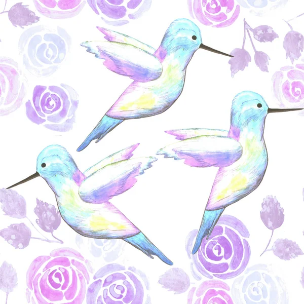 蜂鸟与丁香蔷薇鸟与玫瑰无缝水彩画鸟背景 — 图库矢量图片