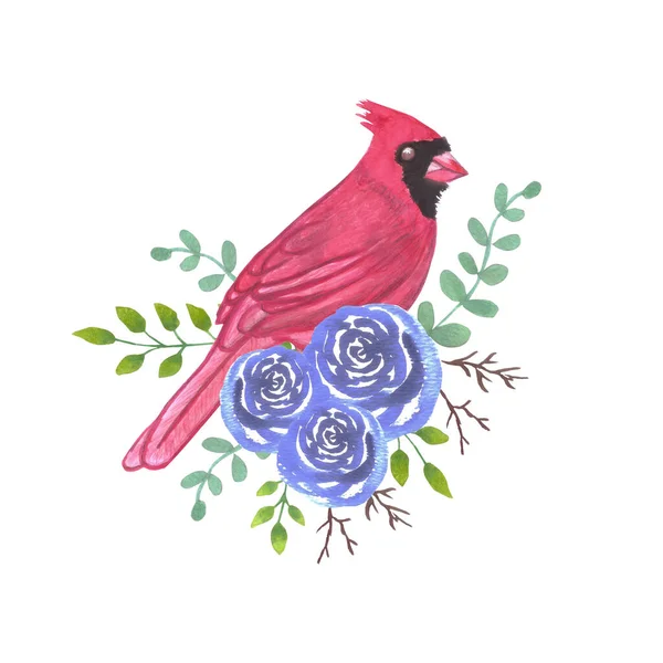 Kırmızı Kuş Erkek Kardinal Uzun Ömürlü Gül Çiçekleri Suluboya Resim — Stok Vektör