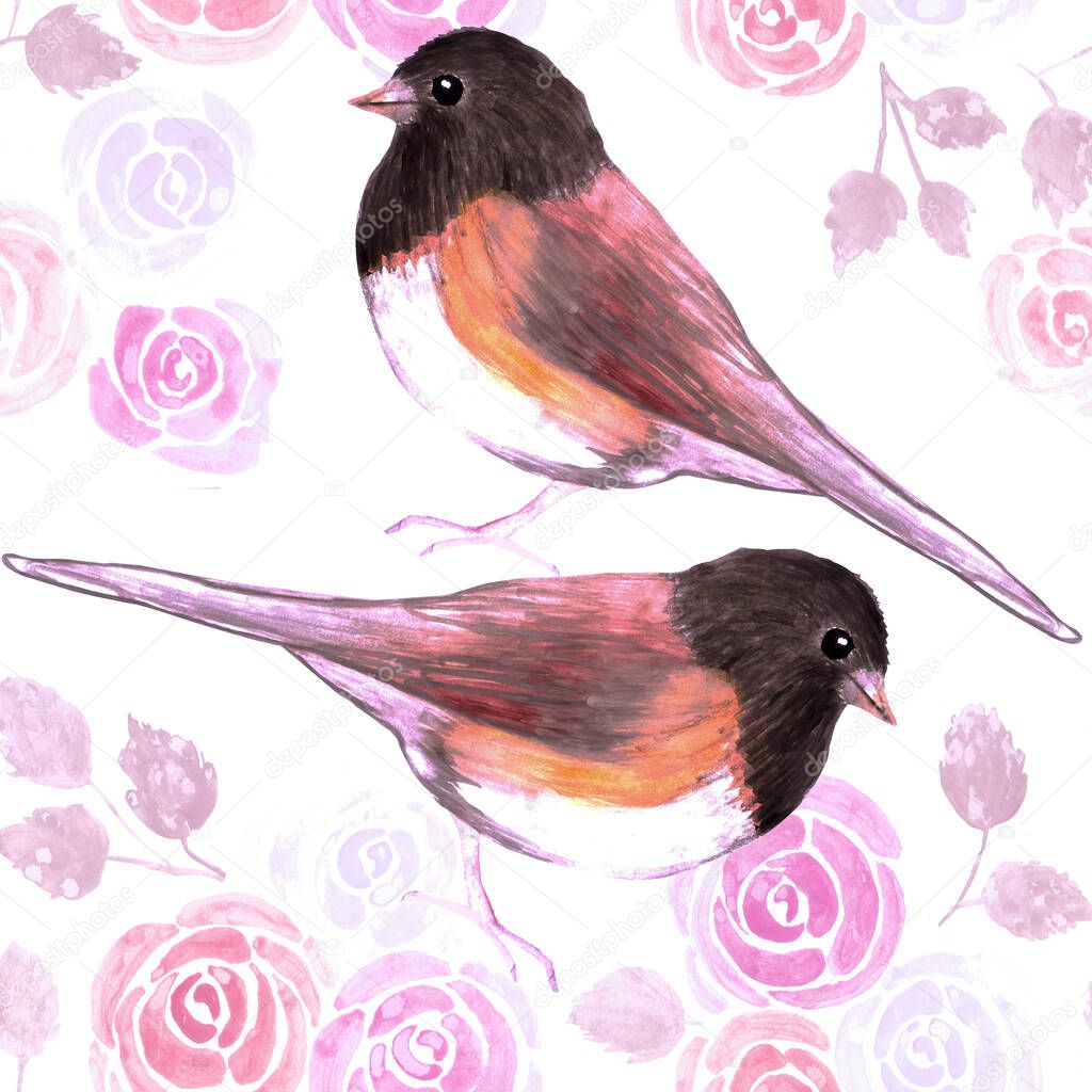 Dark eyed Juncos and pink roses bird seamless watercolor birds painting background