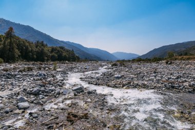 Dağların, ormanların, nehrin etrafındaki dağ vadisinin manzarası. Bernardino Ulusal Ormanı, Usa.