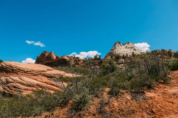 Nature landscape of Zion National Park, USA. This nature landscape is taken at Observation Point in Zion National Park. This nature landscape is also taken during the day. - Image — Stock Photo, Image