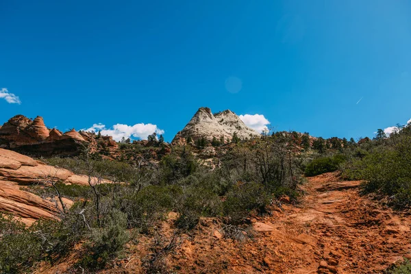 Paisaje natural del Parque Nacional de Zion, EE.UU. Este paisaje natural se toma en el Punto de Observación en el Parque Nacional de Zion. Este paisaje natural también se toma durante el día. - Imagen — Foto de Stock