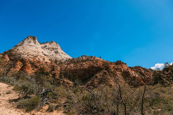 Usa 'daki Zion Ulusal Parkı' nın doğa manzarası. Bu doğa manzarası Zion Ulusal Parkı 'ndaki Gözlem Noktası' nda çekilmiştir. Bu doğa manzarası gün içinde de çekilir. - Görüntü — Stok fotoğraf