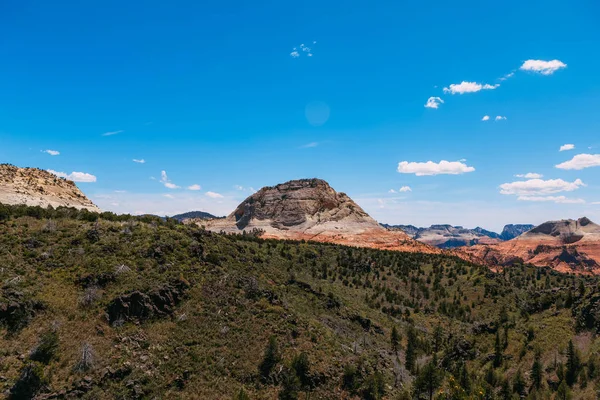 Rare landscape of South Guardian Angel from the top. Hoodoo and trees, Zion National Park - Image. Blue sky, bright colors. — Stock Photo, Image