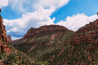 Zion Ulusal Parkı, Utah - Görüntü