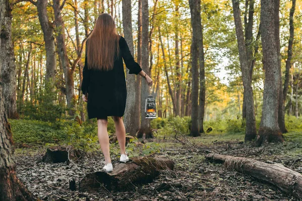 Chica con lámpara de aceite está de pie en el árbol y en busca de. Desierto alrededor. Tarde, hora de verano . — Foto de Stock