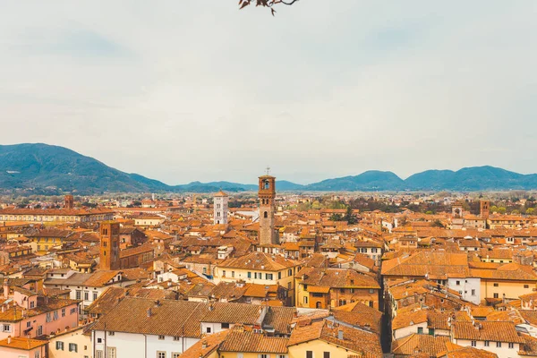 Siena Toskana Bölgesi Talya Siena Katedrali Nin Tepesinden Tarihi Merkezin — Stok fotoğraf