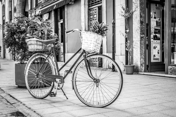 Bicycle in black and white — Stock Photo, Image