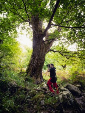 Casano nehri güzergahındaki ağacın altında bir arkadaş.