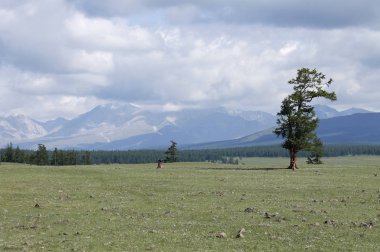 Khuvsgul Gölü yakınlarındaki manzara, Moğolistan