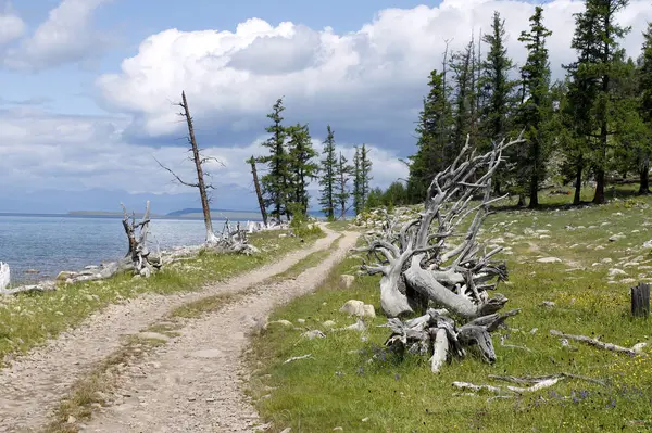 Jalan Dekat Danau Khuvsgul Mongolia — Stok Foto