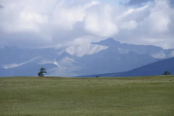 Lanskap Dekat Danau Khuvsgul Mongolia — Stok Foto