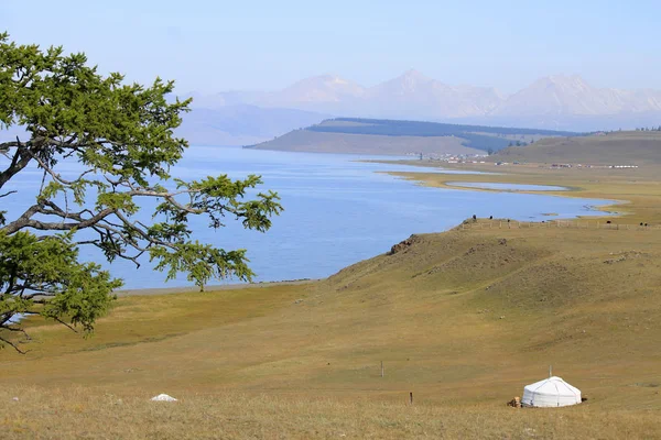 Danau Khuvsgul Musim Panas Mongolia — Stok Foto