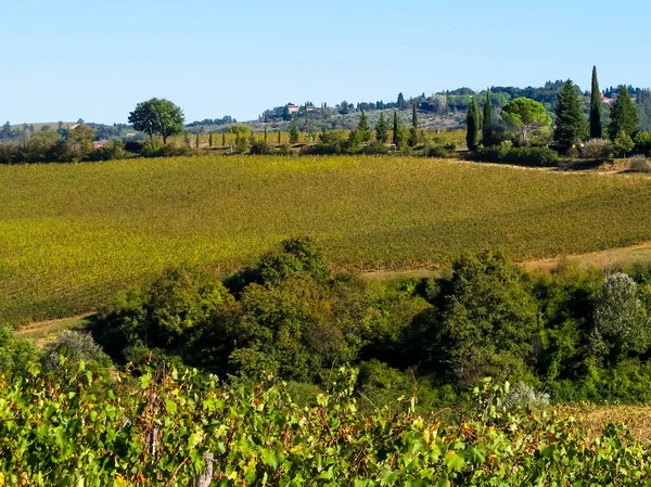 Hügel Felder Und Wiesen Typische Aussichten Auf Die Toskana Reise — Stockfoto