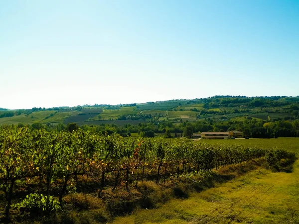 Landschaft Der Toskanischen Weinberge Chianti Region Italien Natur Und Landwirtschaftskonzept — Stockfoto