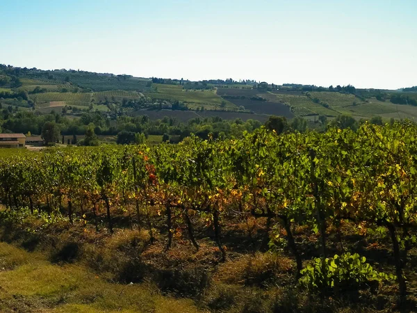 Пейзаж Тосканских Виноградников Регион Кьянти Италия Природа Сельское Хозяйство Отпуск — стоковое фото