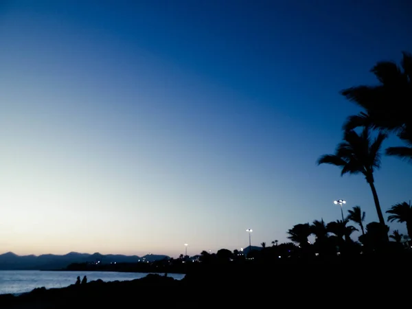 Palmeiras Pôr Sol Puerto Del Carmen Lanzarote Ilhas Canárias Viagens — Fotografia de Stock