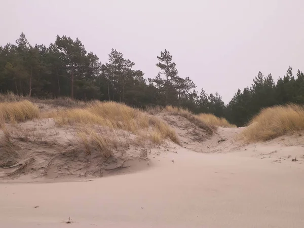 Dunas Areia Costa Báltico Tempo Tempestuoso Dia Nebuloso Polônia Norte — Fotografia de Stock