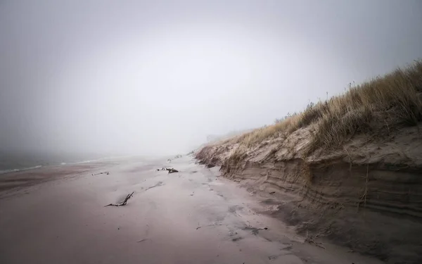 라지의 안개가 지역입니다 폴란드 북부에 발트해 연안의 폭풍우같은 — 스톡 사진