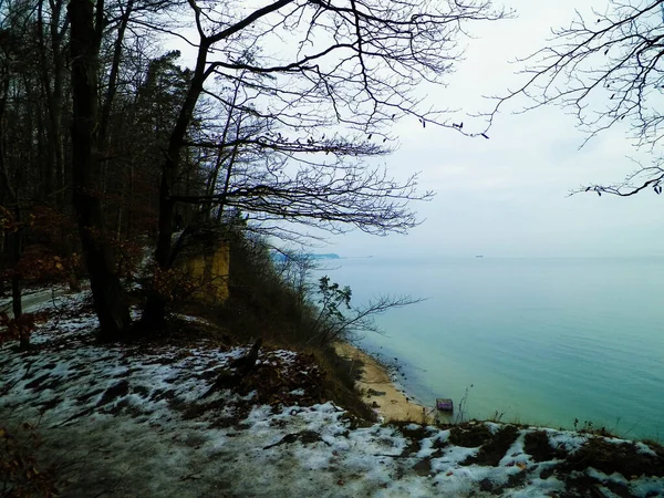 Polish Nature Witer Forest Baltic Sea Winter Season Nature Concept — Stock Photo, Image