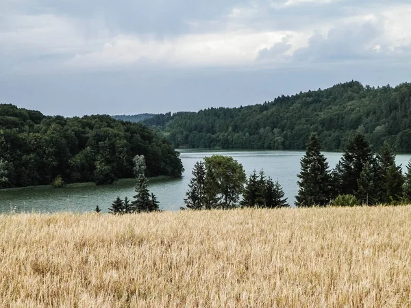 Paisagem Campo Aveia Lago Ostrzyckie Wiezyca Região Kashubian Polônia Natureza — Fotografia de Stock