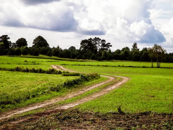 Kashubian kırsalındaki yeşil arazide. Polonya. Doğa ve tarım kavramı. Bulutlu gökyüzünde uzayı kopyala.