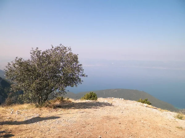 Makedonya Nın Ochrid Gölü Nün Suyu Galiçya Ulusal Parkı Nın — Stok fotoğraf