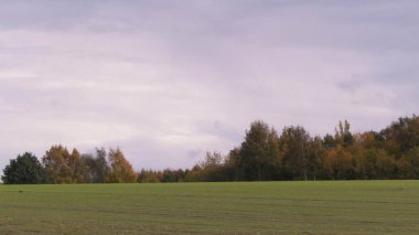 Bir sonbahar gününde yeşil alan. Kashubia doğası, kuzey Polonya. Bulutlu gökyüzünde uzayı kopyala.