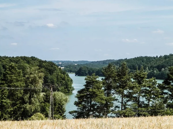 Yulaf Tarlası Manzarası Ostrzyckie Gölü Wiezyca Kashubian Bölgesi Polonya Doğa — Stok fotoğraf