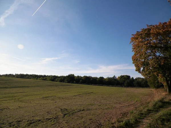 Eind Zomer Herfst Bomen Velden Poolse Natuur Kopieer Ruimte Blauwe — Stockfoto