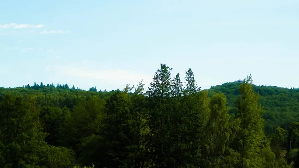 Paesaggio Della Montagna Wiezyca Wiezyca Montagna Più Alta Della Regione — Foto Stock