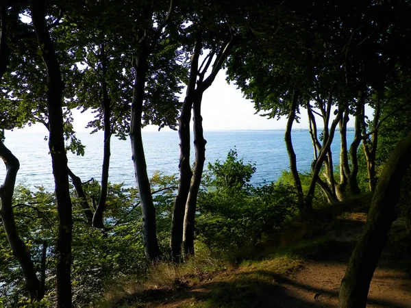 夏天的自然 美丽的巴尔的摩海风景从公园在Gdynia 自然与旅行概念 — 图库照片