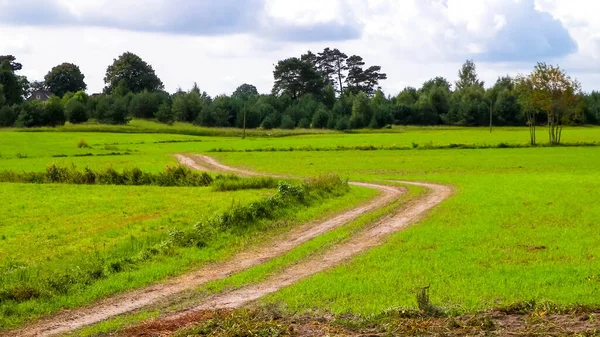 Kashubian kırsalındaki yeşil arazide. Polonya. Doğa ve tarım kavramı. Bulutlu gökyüzünde uzayı kopyala.