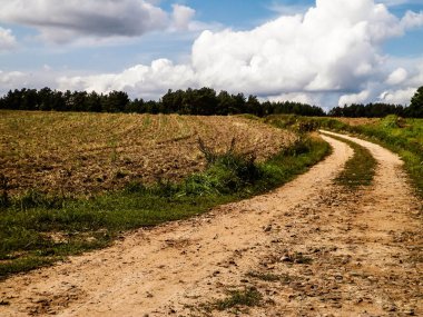 Kashubian kırsalındaki köy yolu. Polonya. Doğa ve tarım kavramı. Bulutlu gökyüzünde uzayı kopyala.