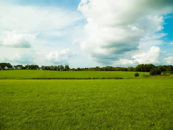 カシュビアの田舎の緑のフィールド ポーランドだ 自然と農業の概念 曇り空のコピースペース ストック画像