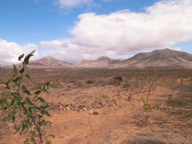 Çöl - Lanzarote 'nin tipik manzarası, Kanarya Adaları. Seyahat ve doğa kavramı.